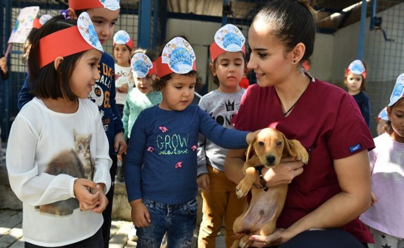 Büyükşehir’den can dostlarına rehabilitasyon merkezi