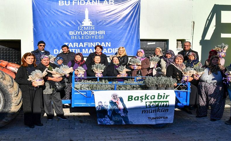 Büyükşehir lavanta fidesi dağıttı