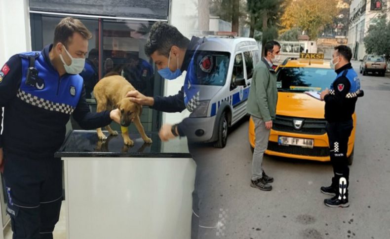 Büyükşehir zabıtasından yavru köpeğe çarpan şoföre ceza