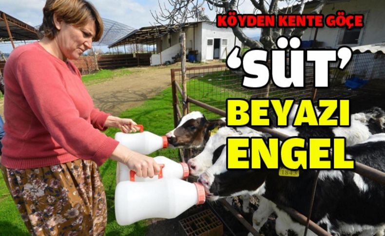 “Büyükşehir’in süt projesi, kente göçü önledi”