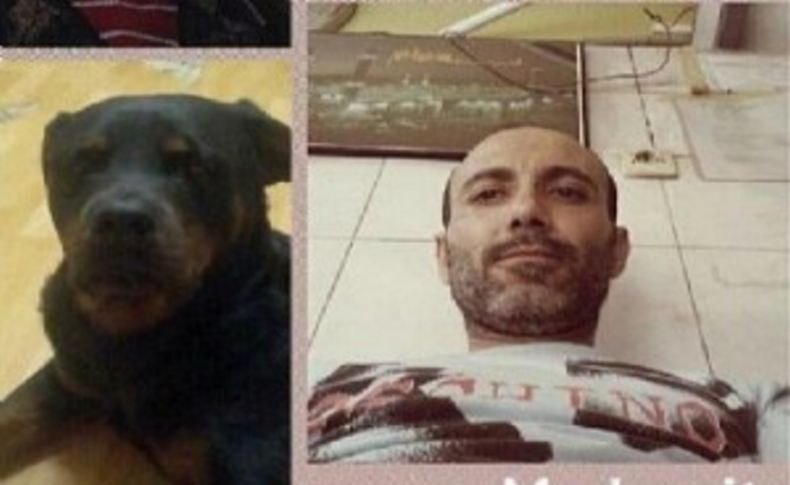 Rotweiller dehşeti aydınlandı