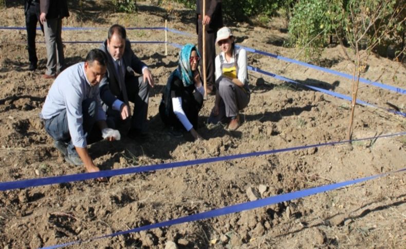 Çamardı, Türkiye'nin salep tedarikçisi olacak