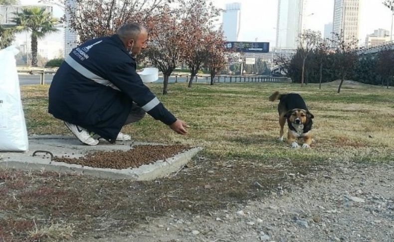 Can dostlar unutulmadı