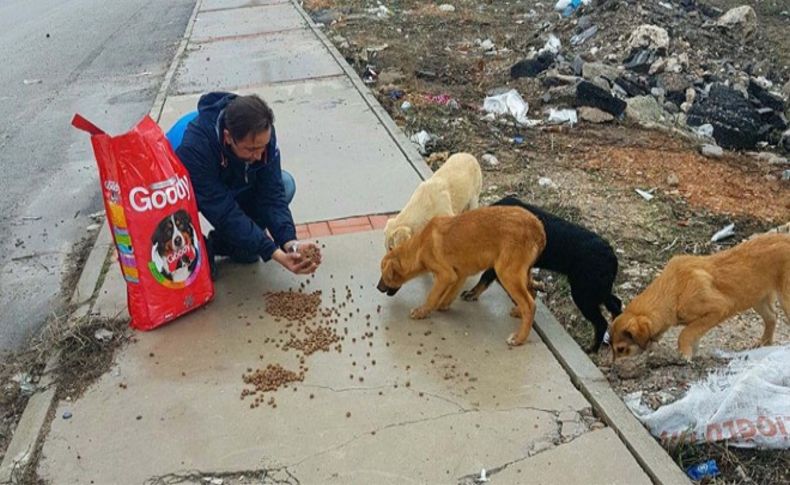 Can dostları için mama kampanyası