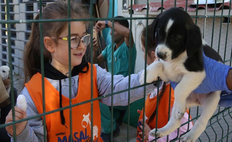 Can dostlarla keyifli gün