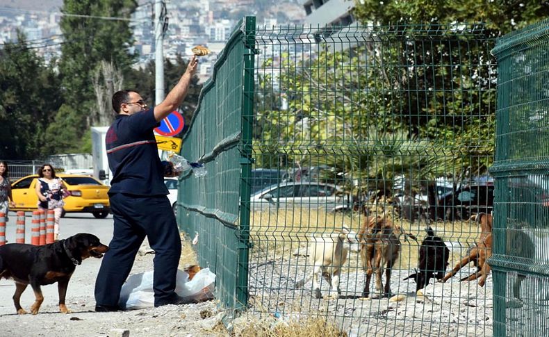 Can dostuyla birlikte keçileri de unutmadı