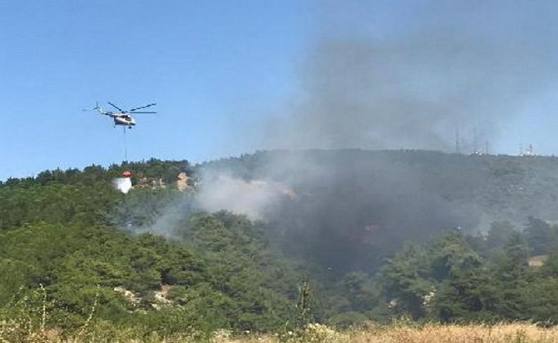 Çanakkale'deki orman yangını kısmen kontrol altında