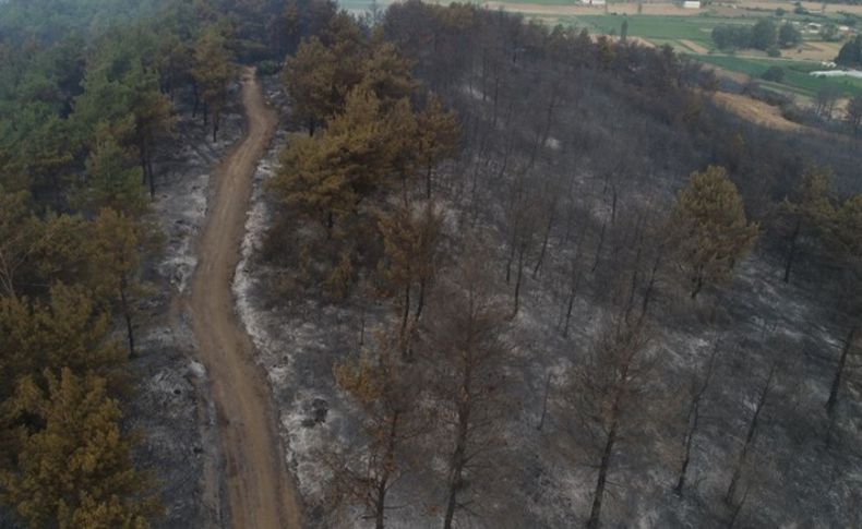 Çanakkale'de yangının boyutu gün ağarınca ortaya çıktı