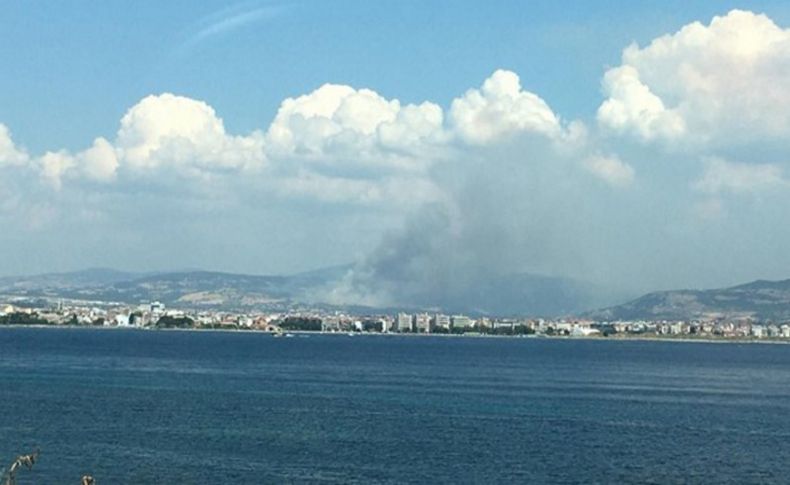 Çanakkale'deki orman yangını kontrol altında