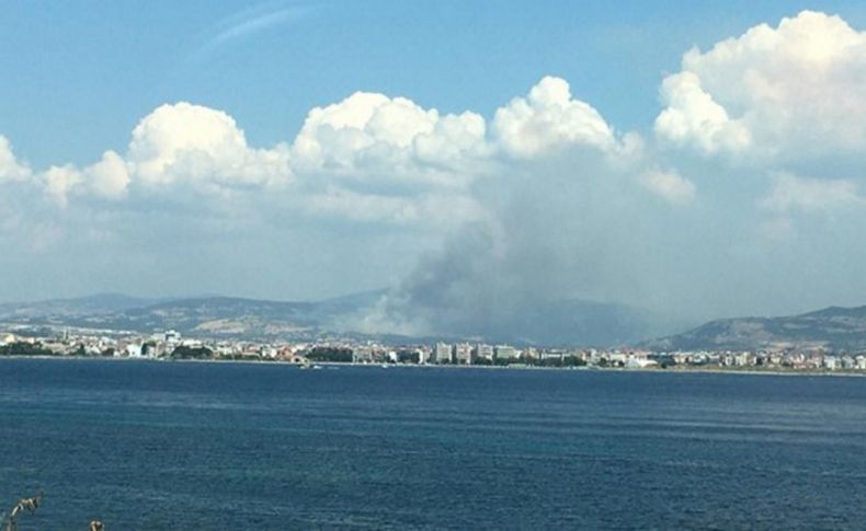 Çanakkale'deki orman yangını kontrol altında