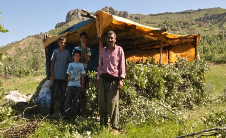 Çatışma bölgelerinde şimdi çocuk cıvıltıları yükseliyor