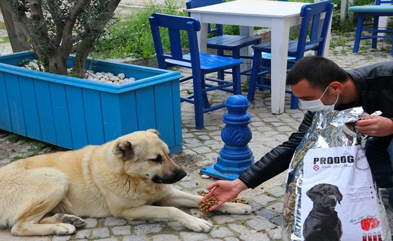 Çeşme’de can dostları unutulmadı!