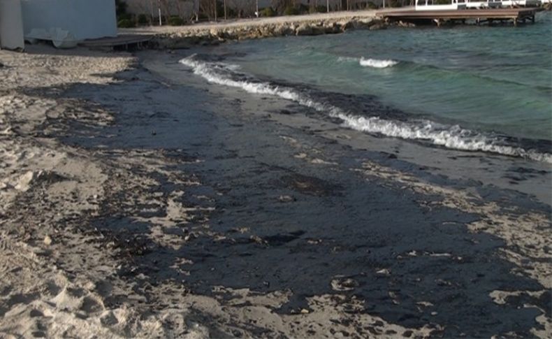 Çeşme'de endişe sürüyor: Bakanlık bu sefer bilimsel raporları açıkladı