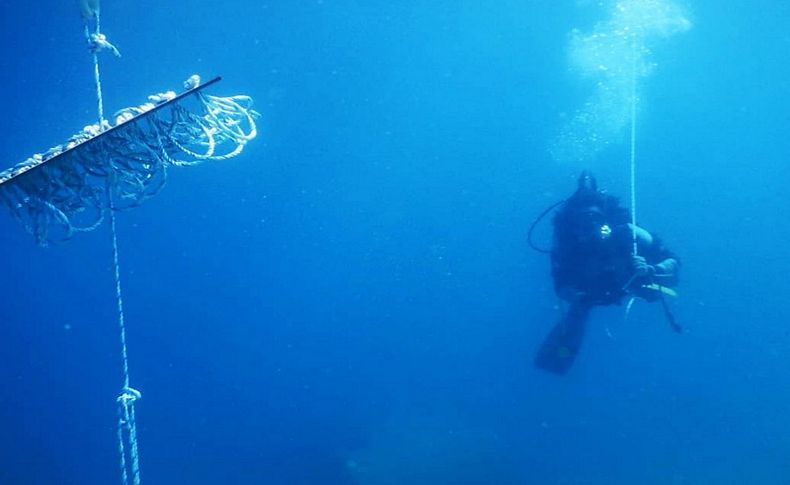 Çeşme'de kalamarlar için yapay resif