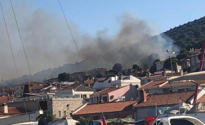 Çeşme’de korkutan yangın!