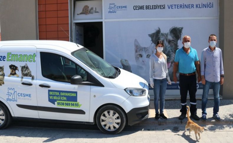 Çeşme'de sokak hayvanlarına ücretsiz veterinerlik hizmeti