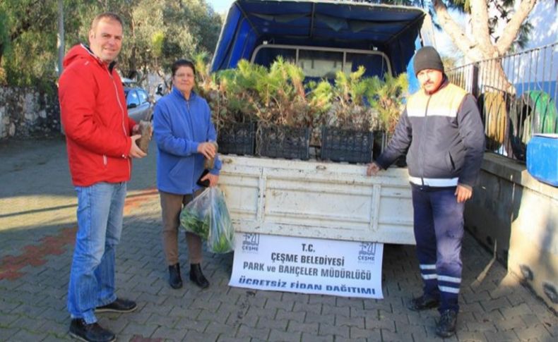 Çeşme'de ücretsiz çam fidanı dağıtımı