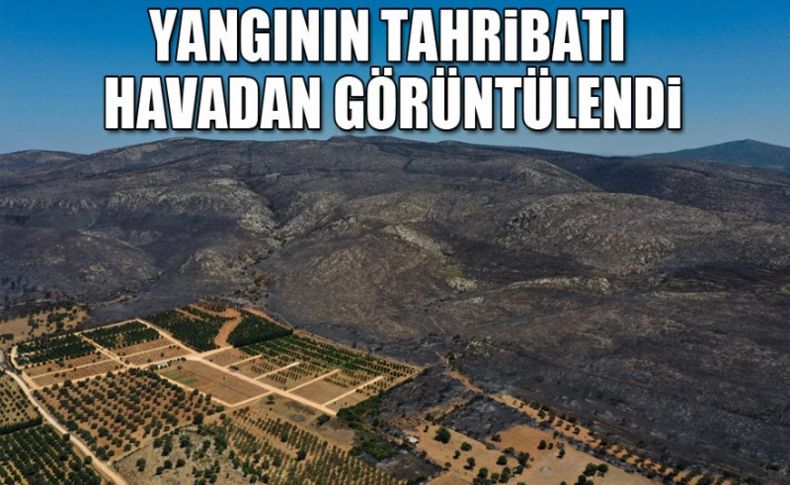 Çeşme'deki yangının tahribatı havadan görüntülendi!