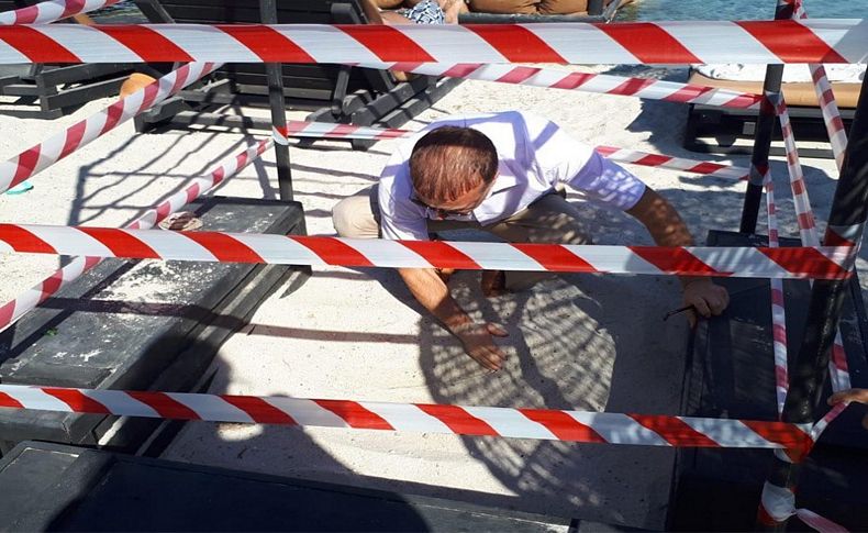 Çeşme sahillerine ilk kez yumurta bıraktı