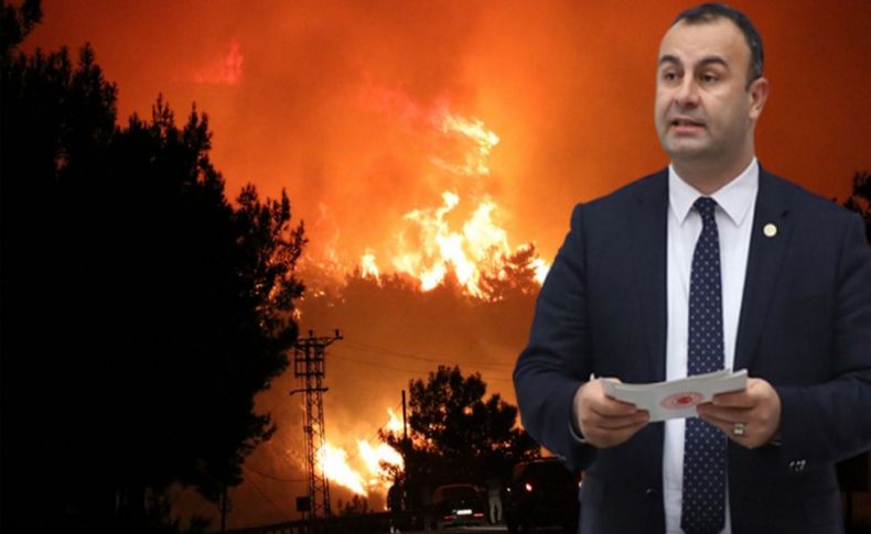 CHP'li Arslan'dan orman yangını çıkışı: Yanan alan 4 kar arttı
