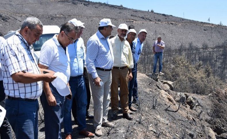 CHP'li Çam'dan Bakan'a yangın eleştirisi