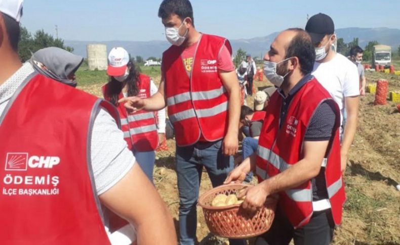 CHP'li gençler bu kez de patates hasadına katıldı