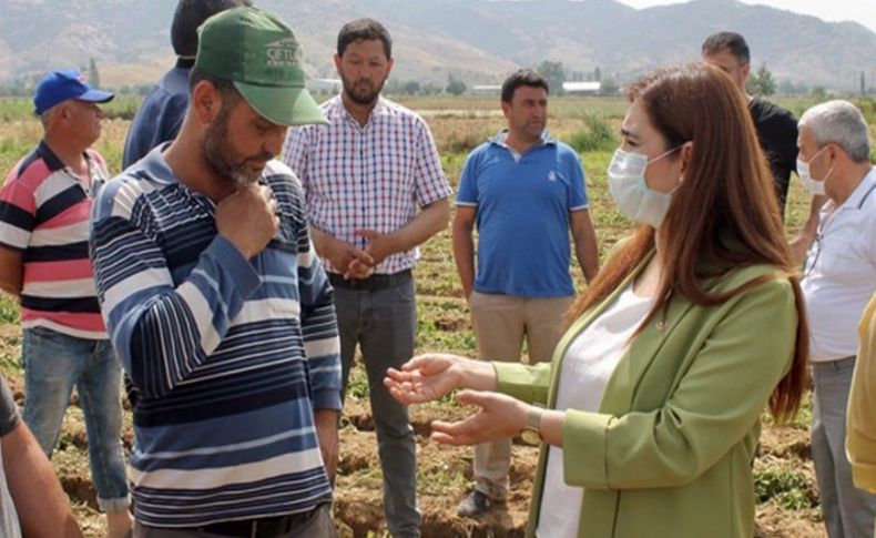 CHP'li Kılıç: Çiftçi o kadar zor durumda ki...