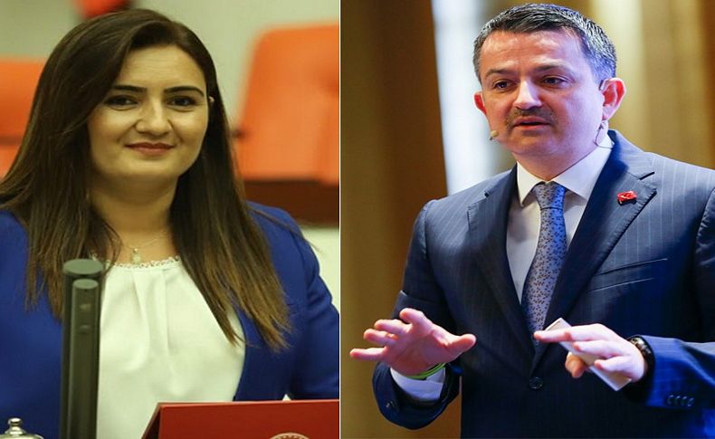 CHP'li Kılıç sordu Bakan Pakdemirli yanıtladı