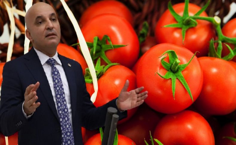 CHP’li Polat: Rus halkının yemediği domatesi biz yiyeceğiz!