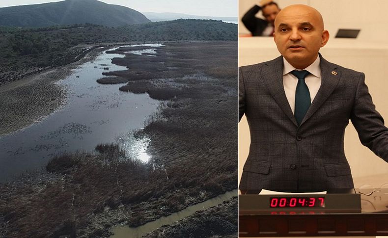 CHP'li Polat'tan İris Gölü açıklaması