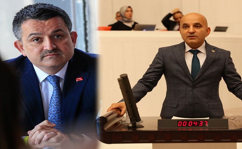 CHP'li Polat'tan zeytinlik çıkışı: Bakan doğru bilgilendirilmiyor!