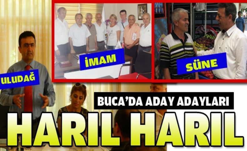 CHP Buca'da aday adayları harıl harıl!