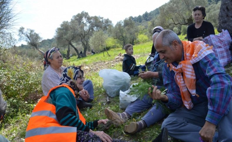 CHP'li Musa Çam'dan çevre atağı