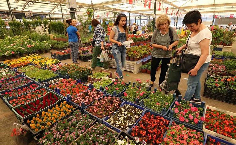 Çiçek üreticisinin yüzü güldü