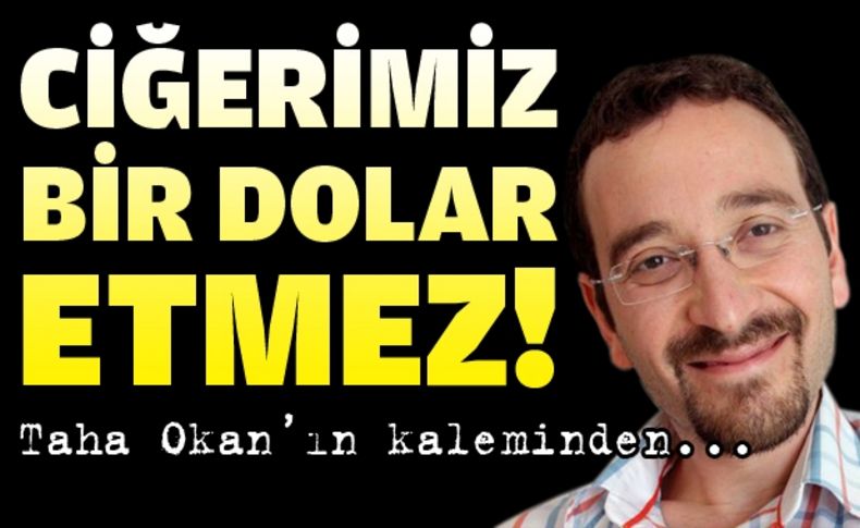 Ciğerimiz bir Dolar etmez!