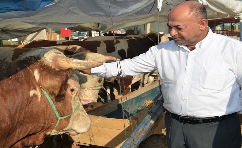 Çiğli Belediyesi kurbana hazır!