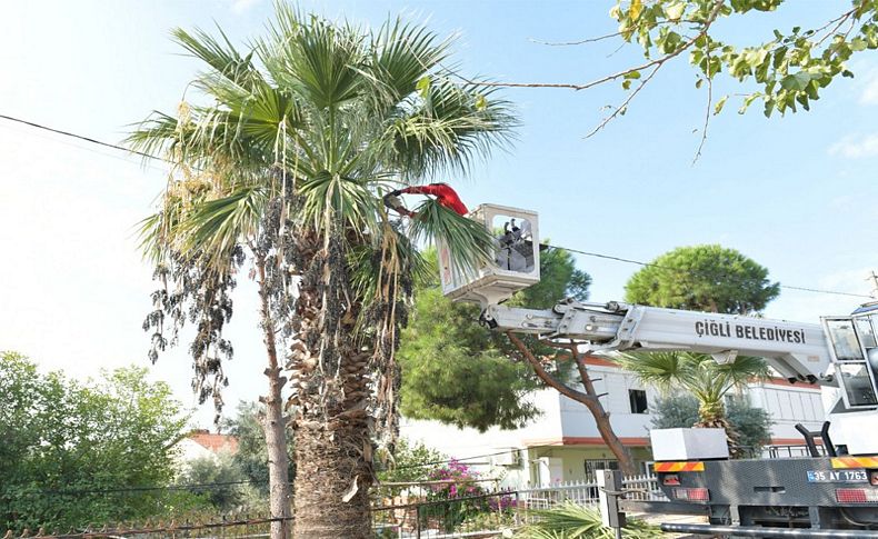 Çiğli Belediyesi’nden çevre dostu proje