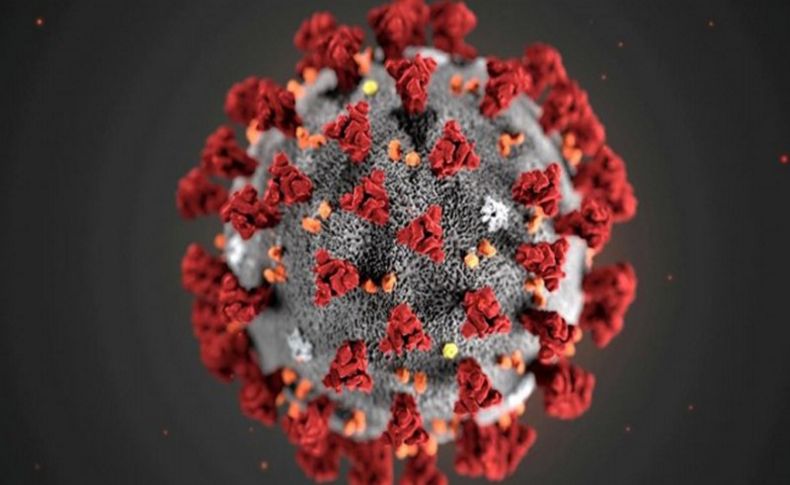 Yeni bir corona virüsü türü tespit edildi: 10 kat daha tehlikeli