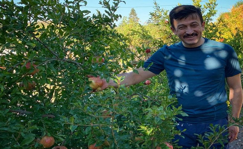 Dağ yürüyüşünde nar hasadı