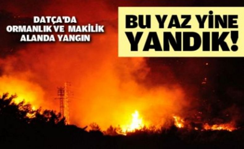 Datça'da ormanlık ve makilik alanda yangın