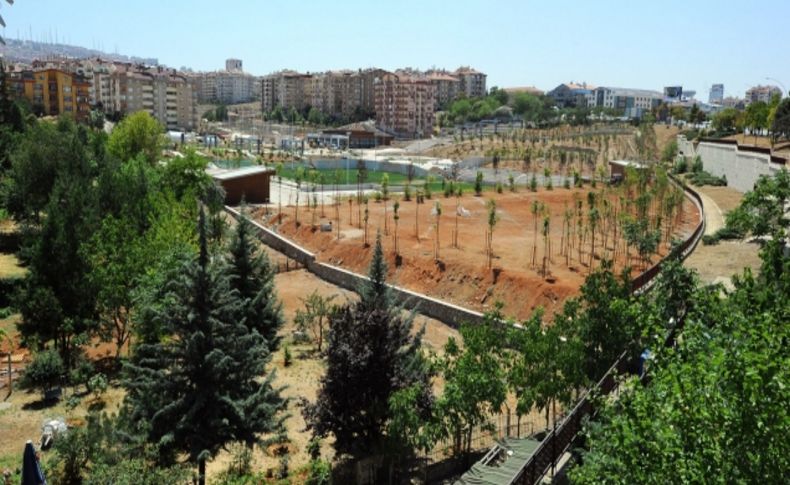 Dekmin Vadisi'ne kardeş geliyor