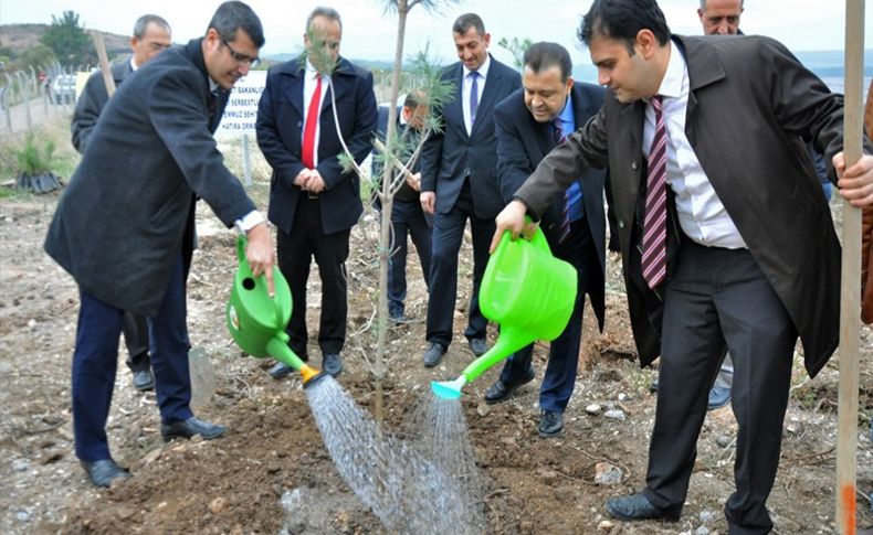 Denetimli serbestlik yükümlüleri 40 bin fidan dikti