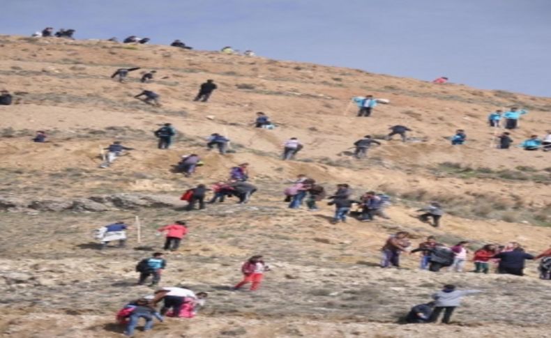 Denizli'de herkesin bir ağacı olacak