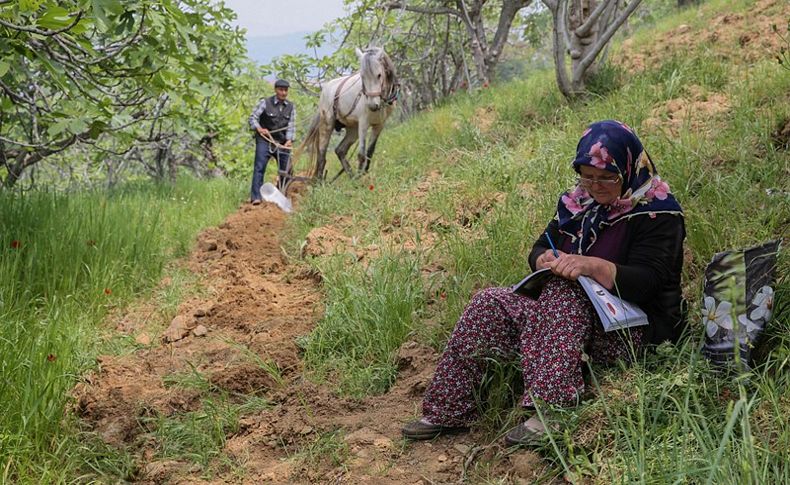 Dersi evde ödevi tarlada yapıyor