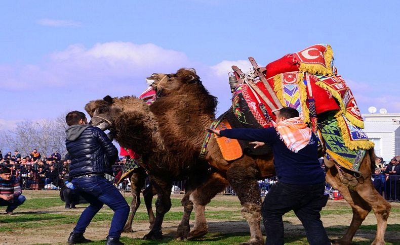 Develer Kemalpaşa'da güreşti