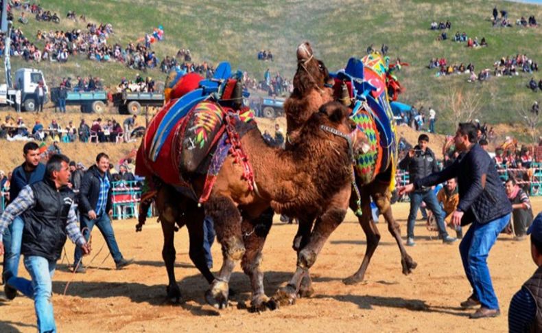 Develer, Konaklı Arenası'nda güreşti