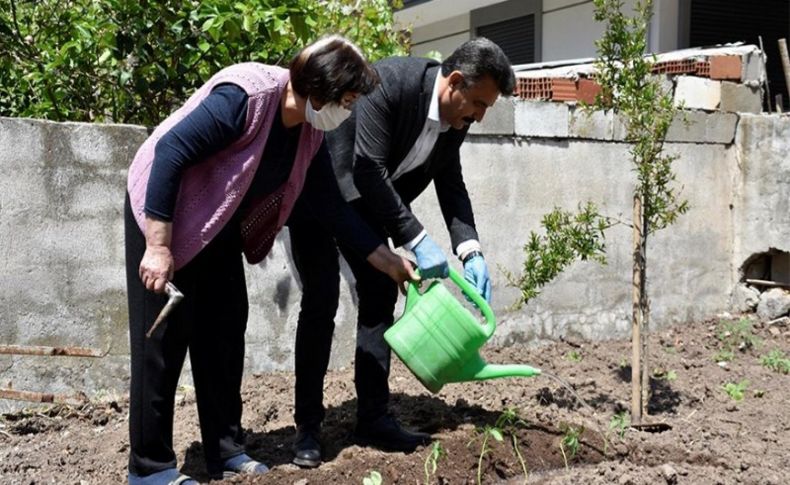 Dikili Belediyesi'nden vatandaşa 20 bin fide