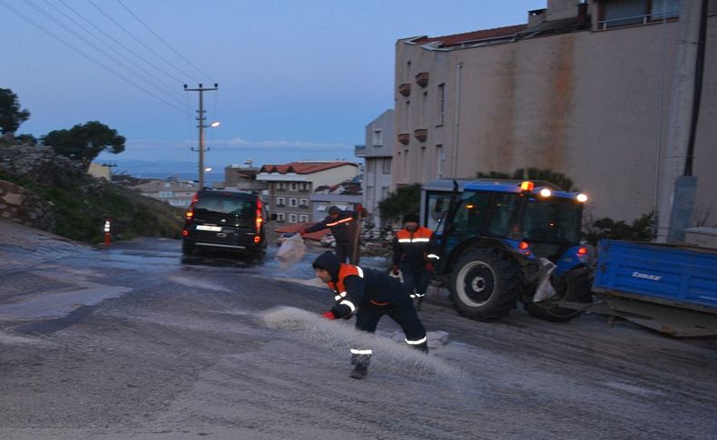 Dikili'de buzlanmaya karşı seferberlik