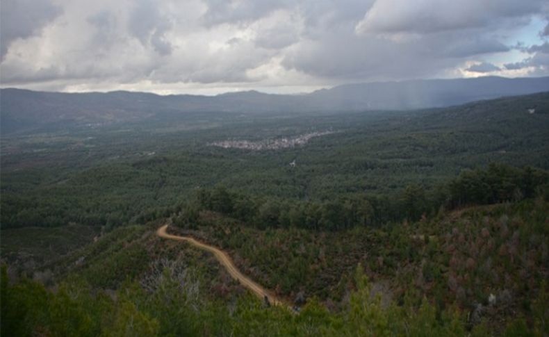Doğa için yargı zaferi: Kozak kazandı