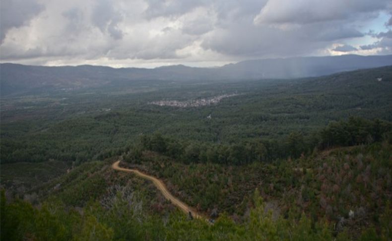 Doğa için yargı zaferi: Kozak kazandı